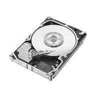 Seagate Savvio - ST973401SS